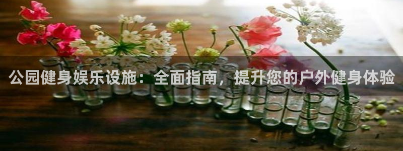 Z6尊龙老版