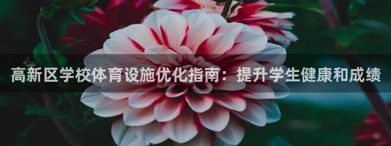 凯时k66登录