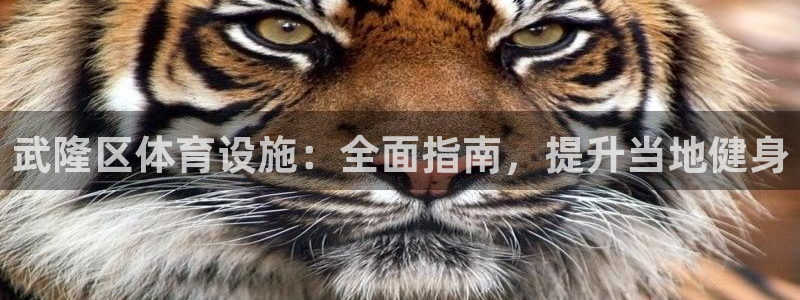 尊龙app官网登录