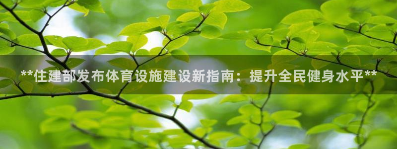 尊龙新版登录网址下载