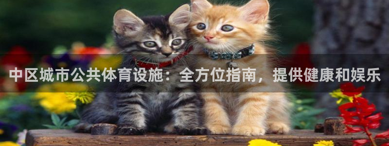尊龙凯时代理能提出来不