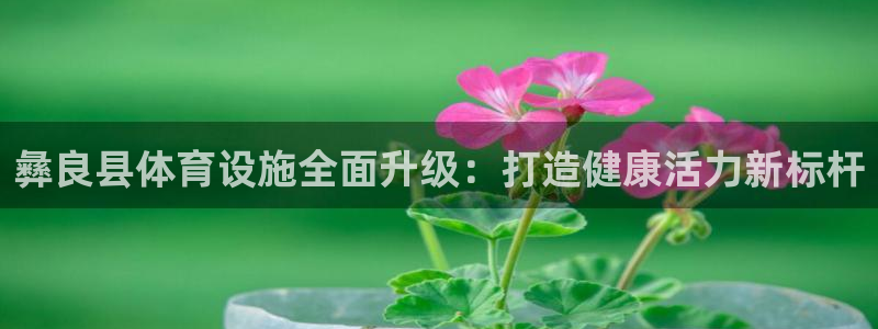 尊龙官网注册