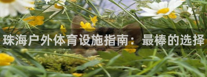 尊龙凯时人生就是搏首页