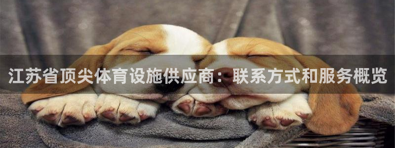 凯时尊龙平台登录