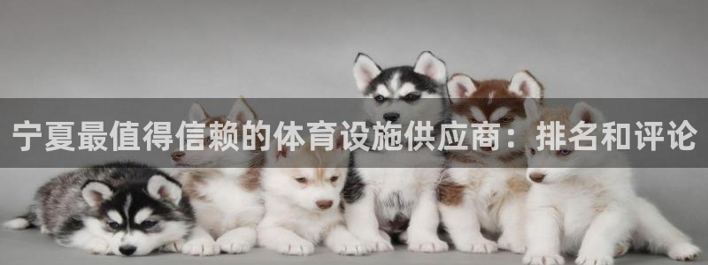 尊龙官方网址
