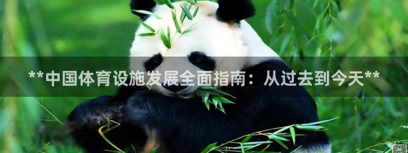 尊龙凯时几百万怎么下款