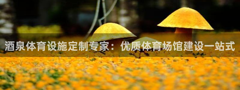 凯时官网手机版首页