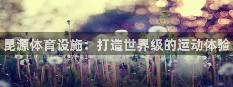 凯时尊龙官网网址