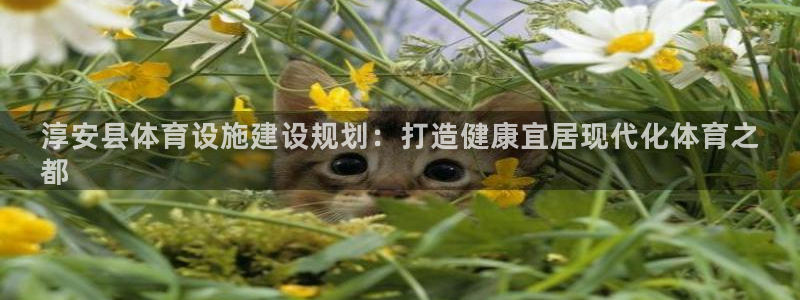 尊龙人生就是博