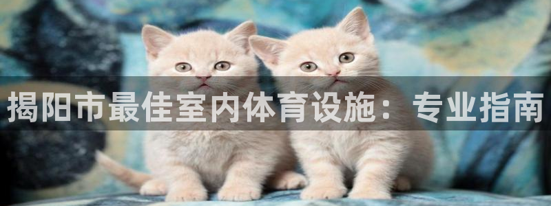 尊龙体育正规么