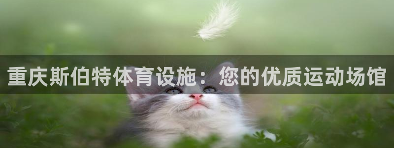 尊龙凯时注册地址