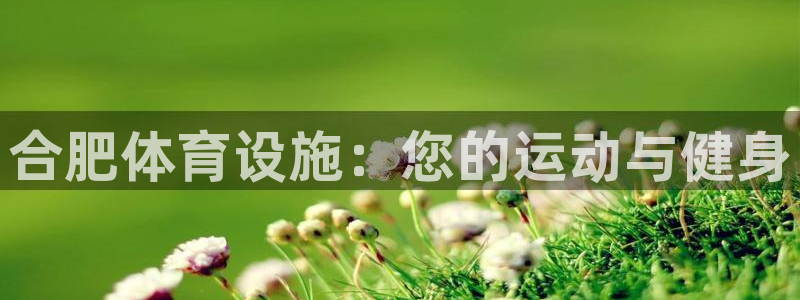 尊龙新版App下载