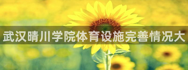 凯时APP官网首页