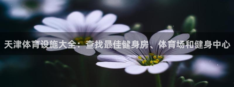尊龙集团有限公司是国企吗