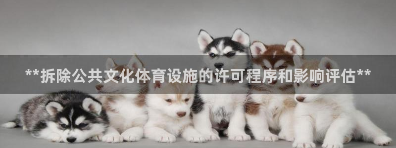 凯时国际app首页登录入口