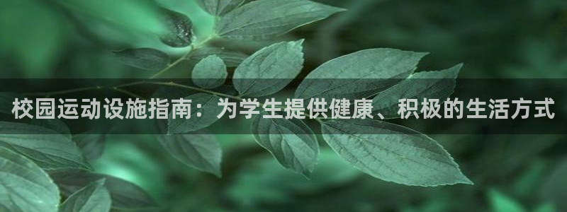 尊龙app登录不了