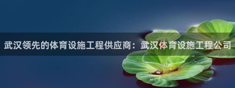 尊龙凯时城娱乐