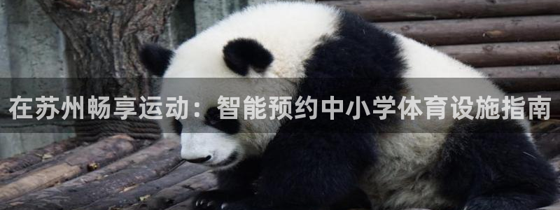 尊龙集团有限公司招聘