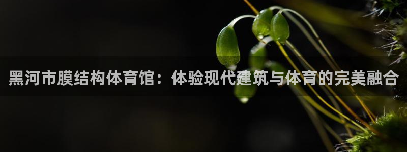 尊龙凯时代理