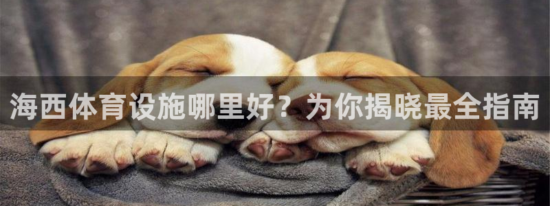 尊龙凯时最新平台登陆