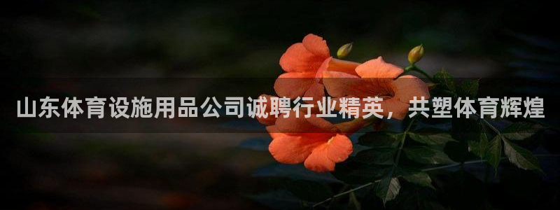 KB88凯时官网
