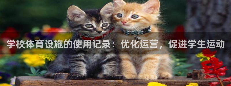 尊龙集团有限公司招聘