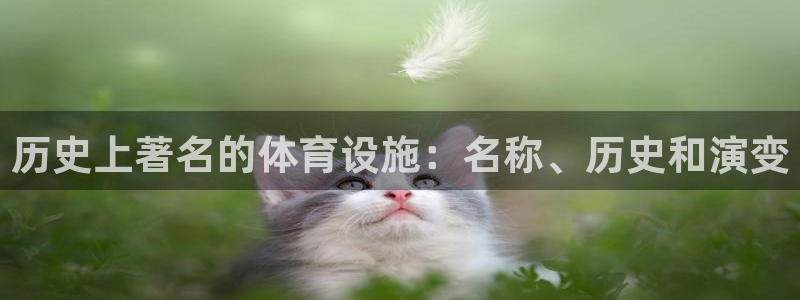尊龙人生就是博ag