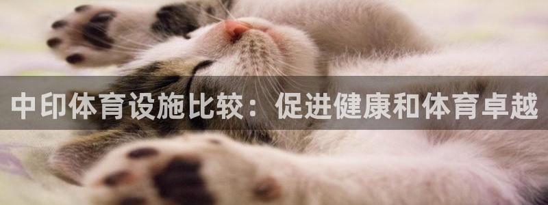 尊龙凯时ag旗舰厅官