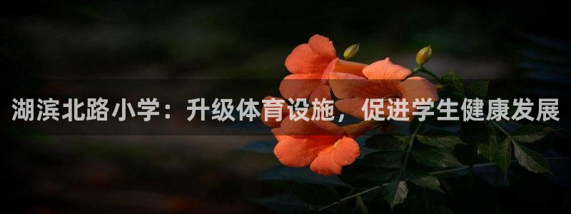 尊龙人生就是博下载