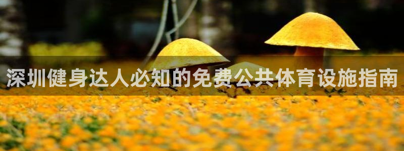 尊龙d88官网准认来就送38