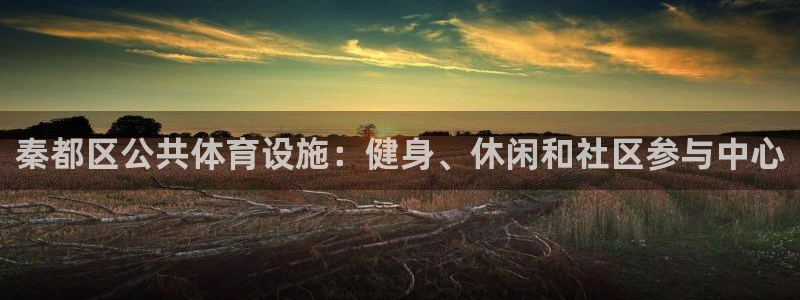 尊龙网平台