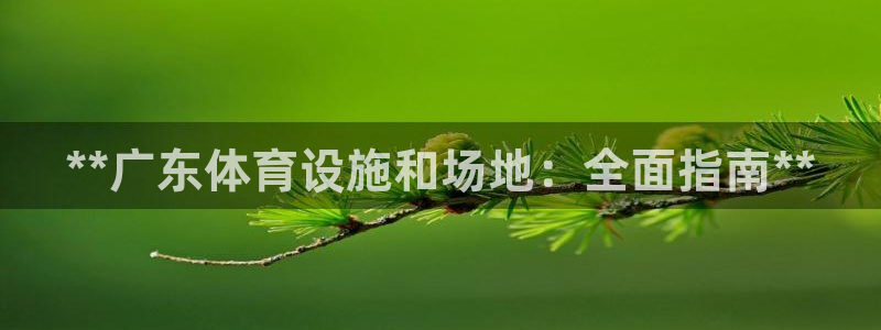 KB88凯时官网登录