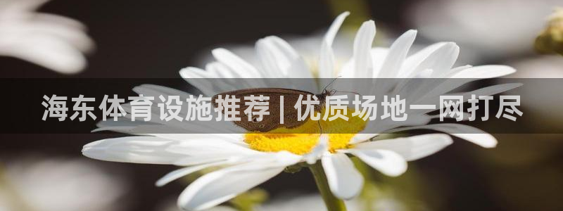 尊龙凯时有假么