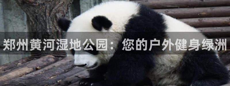 尊龙凯时出款