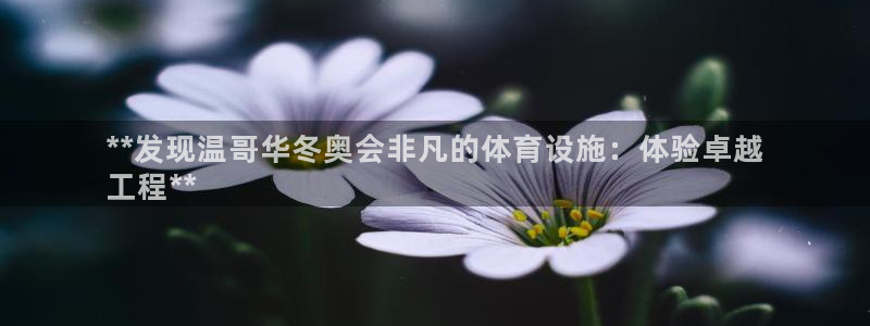 尊龙凯时官网平台