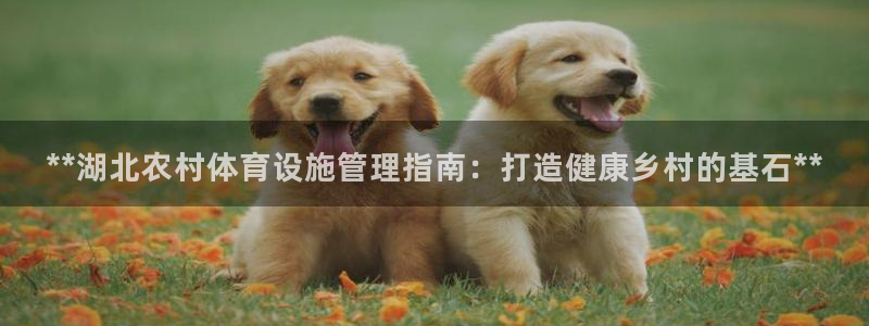 z6com尊龙凯时