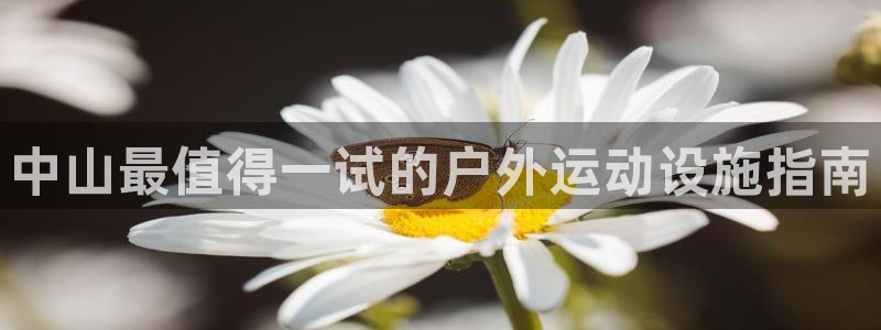 尊龙app官网登录