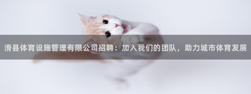 凯时kb88官方