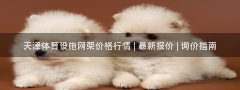 尊龙官方平台是正品吗