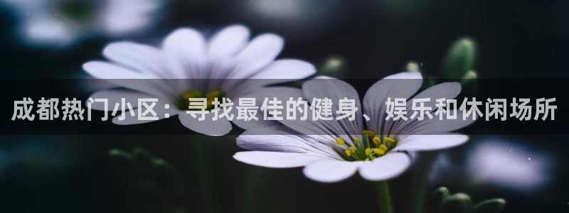 尊龙app下载官网
