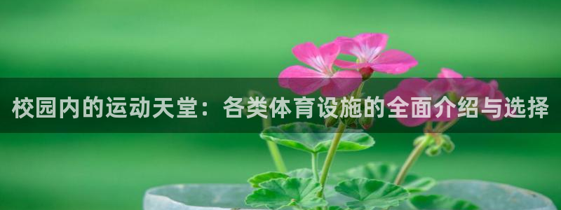 尊龙凯时提款一直审核中