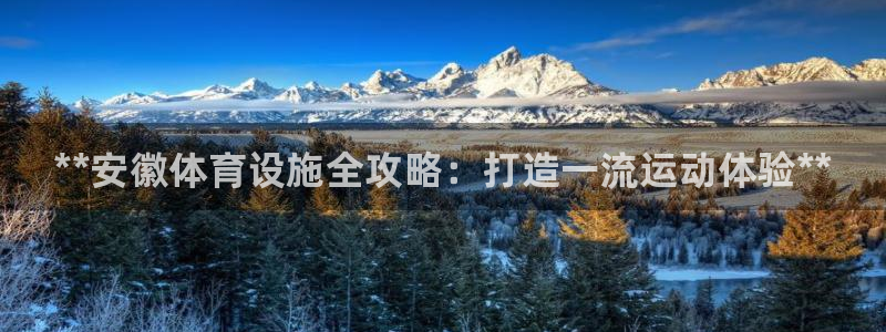 尊龙t300和t400哪个好