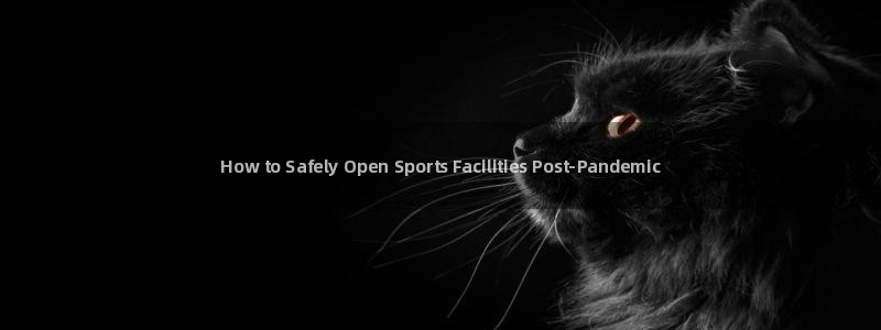 尊龙网址是多少