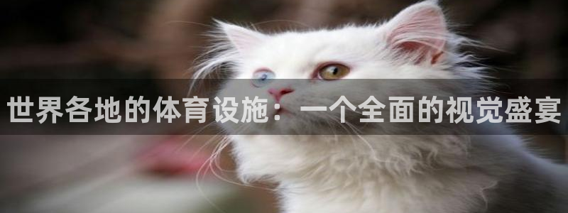 尊龙凯时企业文化