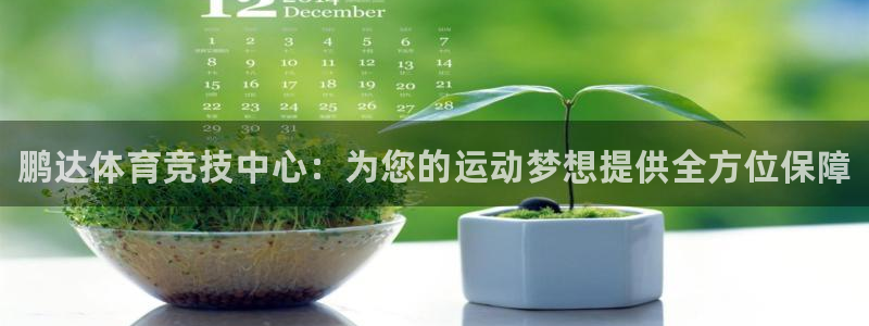 尊龙官网网页版