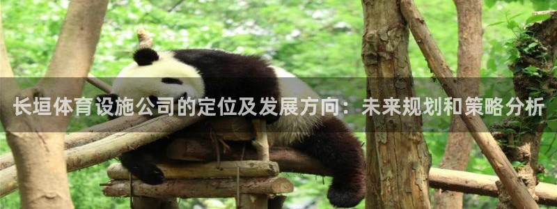 凯时官网手机版首页