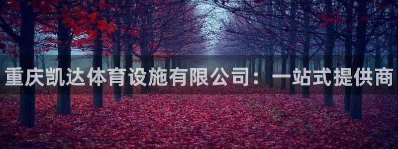 尊龙凯时人生就是博官网登录