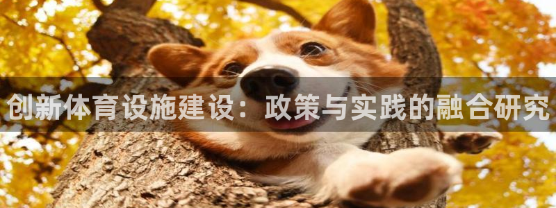 尊龙凯时用户名m