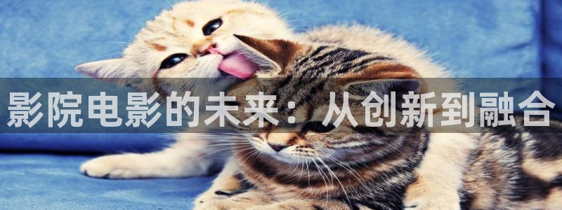 亚洲精品色婷婷在线影院：影院电影的未来：从创新到融合