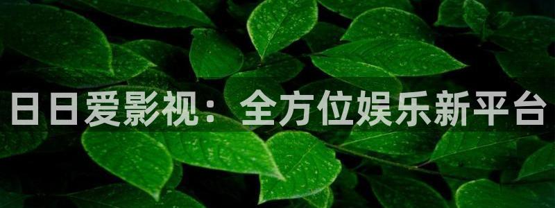 色婷婷亚洲综合影院：日日爱影视：全方位娱乐新平台